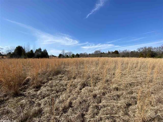 00 SE German Ln, Conway, AR 72032